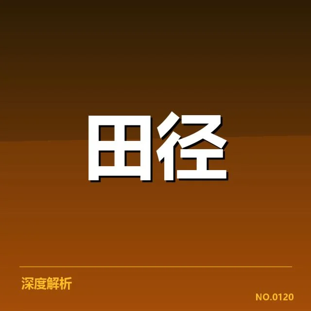 中国田径金牌得主及赛事数据确认